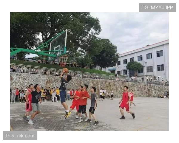 篮球回场违例规则深度解析明确判定标准与具体适用场景